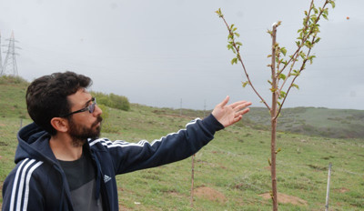 KHK mağdurları ekolojik yaşama döndü - Resim : 2
