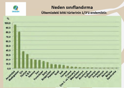 Türkiye, ABD’den zengin ama farkında değil - Resim : 1