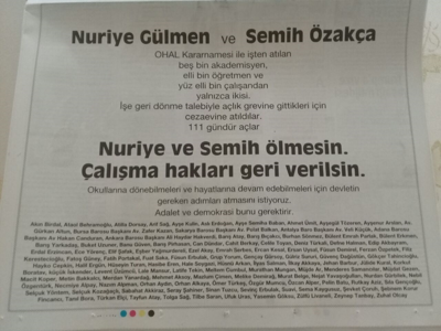 Aydınlardan Gülmen ve Özakça için çağrı - Resim : 1