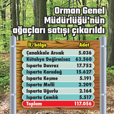 117 bin ağaç kesilip satılacak - Resim : 1