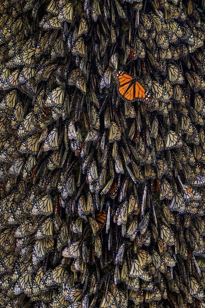 National Geographic Seyahat Fotoğrafları - Resim: 9