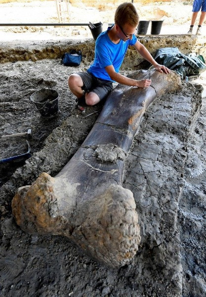 500 kilo ağırlığında dinozor kemiği bulundu - Resim: 6
