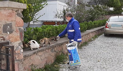 Ayvalık Belediyesi'nden 'askıda mama' kampanyası - Resim : 1