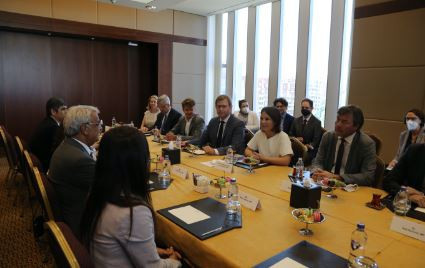 Almanya Dışişleri Bakanı Baerbock, HDP ve CHP heyeti ile görüştü - Resim : 1