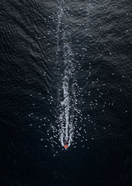 2017'de dronla çekilmiş en iyi fotoğraflar - Resim: 3
