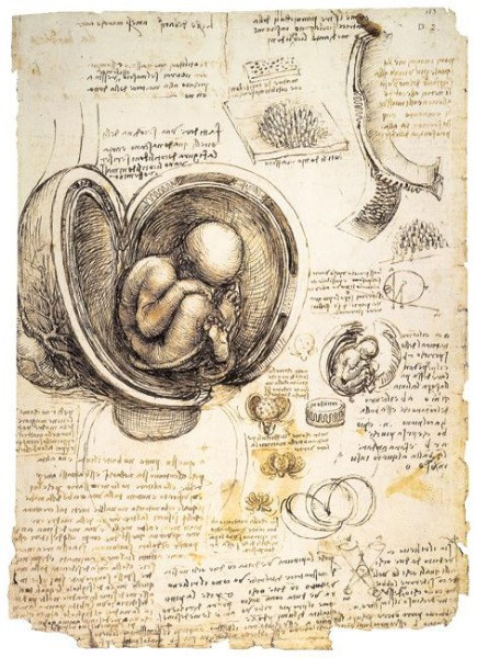 Evrensel dahi Leonardo da Vinci: Hiçbir şey tanınmadan sevilemez - Resim: 9
