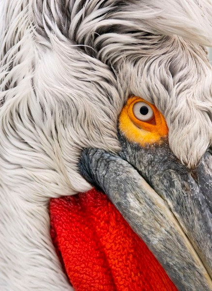 National Geographic Seyahat Fotoğrafları - Resim: 7