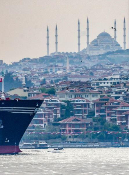 Yunuslar boğazda şov yaptı - Resim: 14