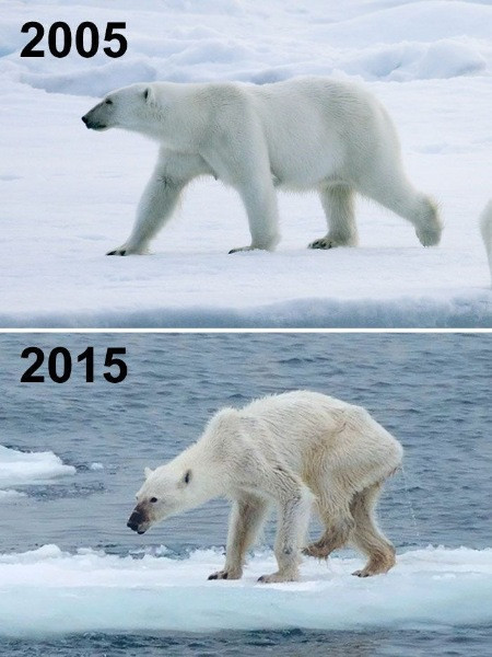 Çevrenin #10yearchallenge fotoğrafları - Resim: 3