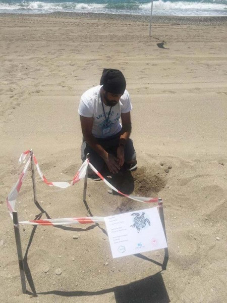 Su sıcaklığı 1 derece düştü, Belek'te caretta caretta yuvaları yüzde 61 azaldı - Resim: 2
