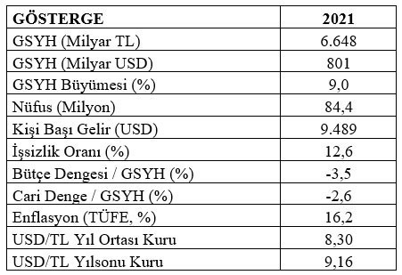 Mahfi Eğilmez: Hükümetin yıl sonu USD/TL kur tahmini 9,16 - Resim : 1