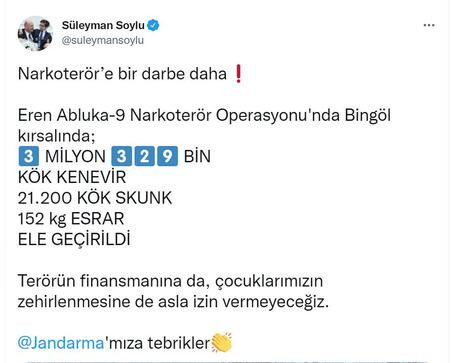 İçişleri Bakanı Soylu: Bingöl'de 3 milyon kök kenevir ele geçirildi - Resim : 1