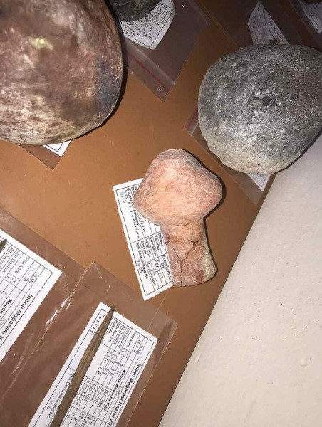 Ereğli'de 6.500 yıllık tarihi eserler bulundu - Resim: 4
