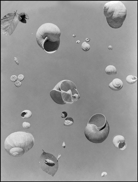 Werner Bischof'la dünyanın gerçek yüzü - Resim: 11
