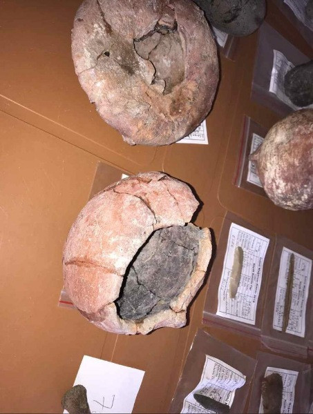 Ereğli'de 6.500 yıllık tarihi eserler bulundu - Resim: 2