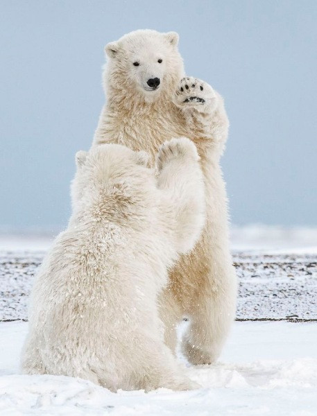 National Geographic Seyahat Fotoğrafları - Resim: 4