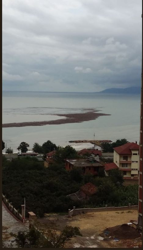 Tonlarca fındık denize aktı - Resim : 1