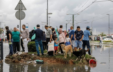 Yaşam savunucuları ve küresel barış mücadelesi… - Resim : 1