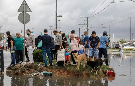 Yaşam savunucuları ve küresel barış mücadelesi… - Resim : 1