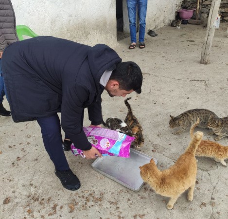 Kimsenin kalmadığı köyde, kedilerin ölmemesi için mücadele ediyor - Resim : 1