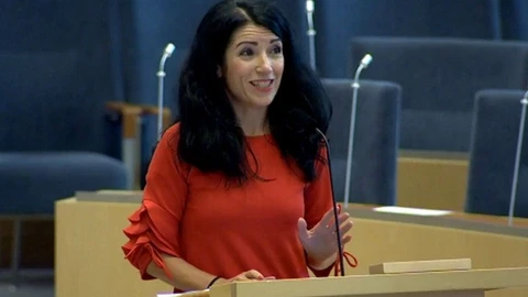 İsveç hükümeti Kürtlerle ilgili verdiği sözü tutmadığı için zorda - Resim : 1