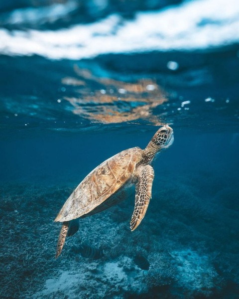 National Geographic Seyahat Fotoğrafları - Resim: 16