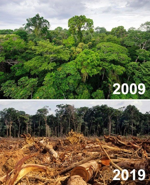 Çevrenin #10yearchallenge fotoğrafları - Resim: 4