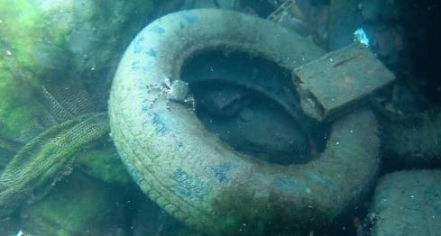 Karadeniz'in dibi çöplüğe döndü: Kilometrekareye bin 800 adet çöp - Resim : 3