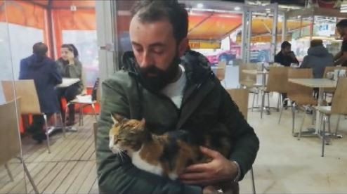 Kedilerin kuyrukları büyü için mi kesiliyor? - Resim : 1