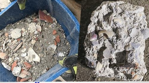 'Devletin barıştığı kaçak yapıların sorumluluğu teknik elemanlara yükleniyor' - Resim : 1