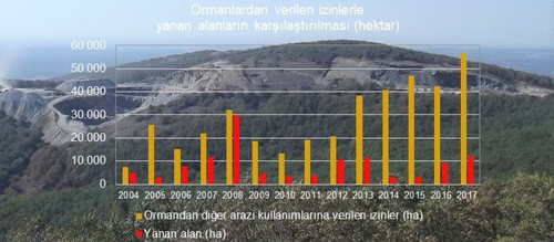 Bir fikrim geldi: Ormanları korusak nasıl olur? - Resim : 1