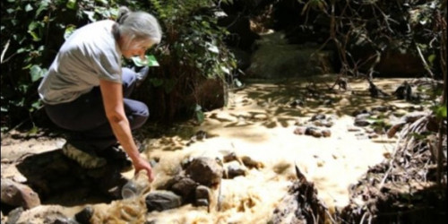 ‘Cerattepe Artvin'i terk edilmiş kasabaya çevirecek' - Resim : 1