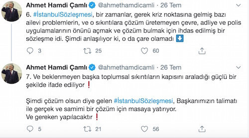 'Yeliz' İstanbul Sözleşmesi'ni hedef aldı: Kadın-erkek eşit değildir - Resim : 2