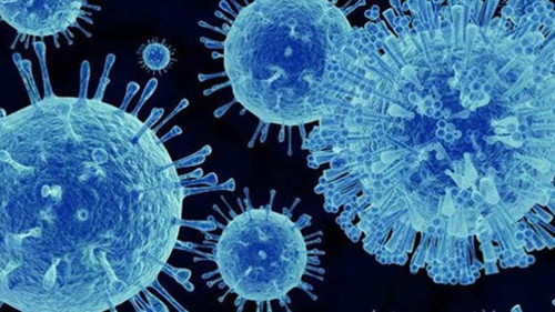 Karasu 'Norovirüs'e teslim: 4 bin 500 kişi hastanelik oldu - Resim : 2