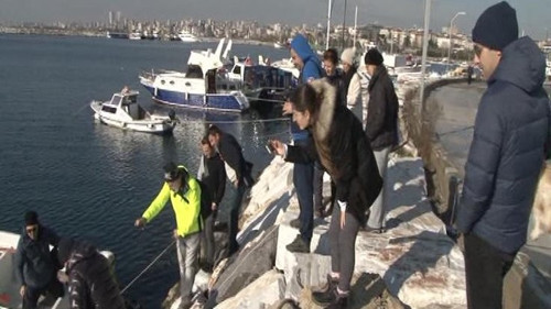 Marmara Denizi'nin canlıları karaya vurdu - Resim : 1