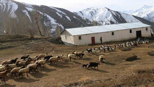 Hakkarililer soruyor: Hani yayla yasakları kaldırılacaktı - Resim : 1