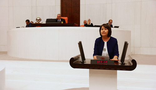 HDP, Roman yurttaşlara yönelik hak ihlallerinin araştırılmasını talep etti - Resim : 1