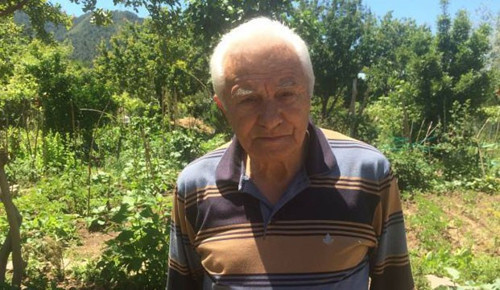 Zeytinlikler bir kez daha hedefte - Resim : 1