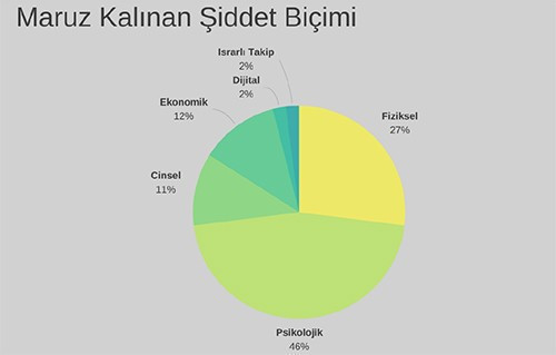 Kadınlar şiddeti en yakınlarından görüyor - Resim : 1