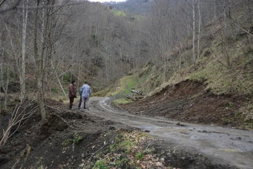 Trabzon'da şarbon paniği - Resim : 1