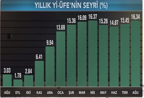 Ağustosta enflasyon yeniden çift hanede - Resim : 5