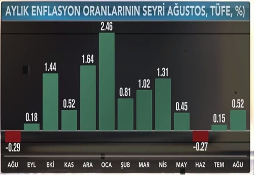 Ağustosta enflasyon yeniden çift hanede - Resim : 7