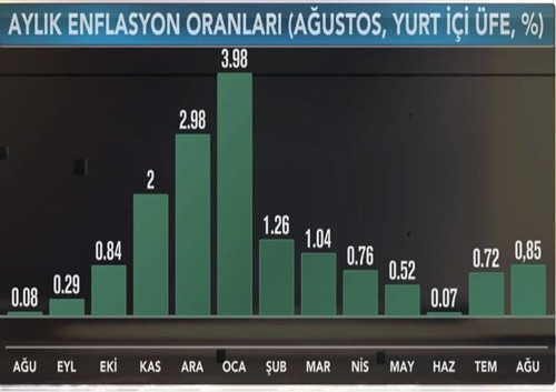 Ağustosta enflasyon yeniden çift hanede - Resim : 6