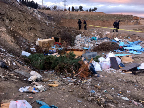 Ankara Gölbaşı'nda molozların arasında 20 ölü köpek bulundu - Resim : 2