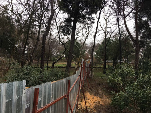Maçka Parkı'nda ağaçlar sökülmeye başlandı - Resim : 2