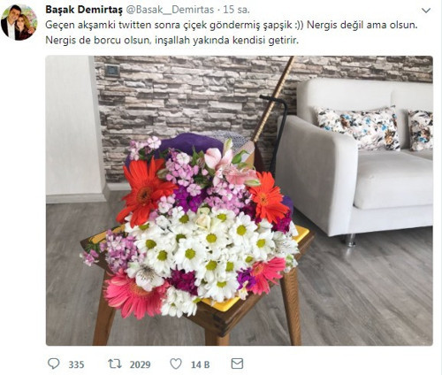 Başak Demirtaş: Çiçek göndermiş şapşik - Resim : 1