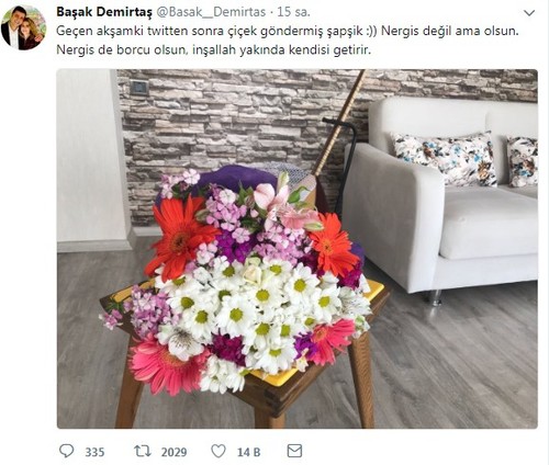Başak Demirtaş: Çiçek göndermiş şapşik - Resim : 1