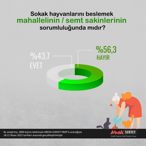 Anket: Sokak hayvanları değil, saldırgan köpekler tehlikeli - Resim : 4