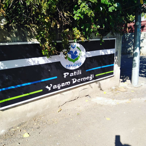 Patili Yaşam Derneği: Yeterli desteği bulamadık, kapanıyoruz, çok üzgün ve çaresisiz - Resim : 1