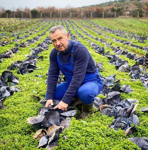 Pestisit gerçeği: Sofraların tadını kaçıran çatalın ucundaki zehir - Resim : 1